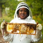 How Much Do Beekeepers Pay to Rent Land