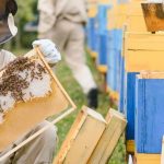 What is Beekeeping Called