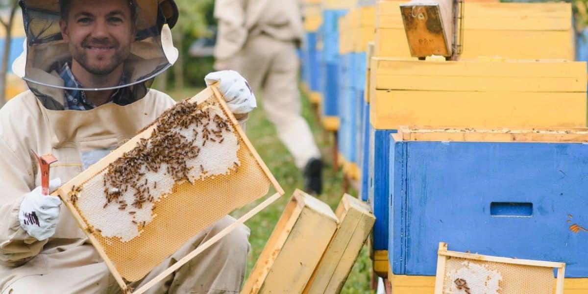 What is Beekeeping Called
