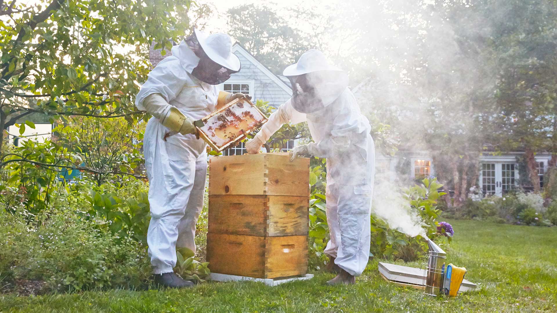 best beekeeping tools